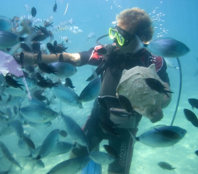 En enchufe con el ambiente maritimo